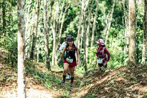 BIB: 
                            <button type="button" onclick="openModal(26452978)" class="btn btn-primary btn-sm float-right btn-popup" data-toggle="modal" data-target=".modal-high-quality">
                        <i class="fas fa-shopping-cart"></i> Add to Cart
                    </button>
                                            <button type="button" onclick="isThisMe(26452978, true)" class="btn btn-success btn-sm float-right btn-popup btn-isme hidden" data-toggle="tooltip" data-placement="bottom" title="นี่คือรูปของคุณใช่ไหม คลิกที่นี่เพื่อเอาเข้าอัลบั้ม">
                        <i class="fas fa-plus"></i> Add to album
                    </button>
                    <button type="button" onclick="isThisMe(26452978, false)" class="btn btn-warning btn-sm float-right btn-popup btn-isnotme hidden">
                        <i class="fas fa-ban"></i> Remove from album
                    </button>