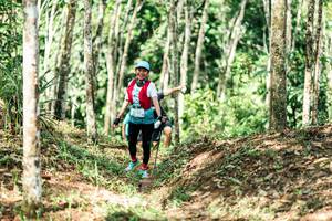 BIB: 
                            <button type="button" onclick="openModal(26452670)" class="btn btn-primary btn-sm float-right btn-popup" data-toggle="modal" data-target=".modal-high-quality">
                        <i class="fas fa-shopping-cart"></i> Add to Cart
                    </button>
                                            <button type="button" onclick="isThisMe(26452670, true)" class="btn btn-success btn-sm float-right btn-popup btn-isme hidden" data-toggle="tooltip" data-placement="bottom" title="นี่คือรูปของคุณใช่ไหม คลิกที่นี่เพื่อเอาเข้าอัลบั้ม">
                        <i class="fas fa-plus"></i> Add to album
                    </button>
                    <button type="button" onclick="isThisMe(26452670, false)" class="btn btn-warning btn-sm float-right btn-popup btn-isnotme hidden">
                        <i class="fas fa-ban"></i> Remove from album
                    </button>