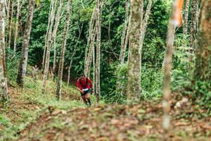 BIB: 
                            <button type="button" onclick="openModal(26445942)" class="btn btn-primary btn-sm float-right btn-popup" data-toggle="modal" data-target=".modal-high-quality">
                        <i class="fas fa-shopping-cart"></i> Add to Cart
                    </button>
                                            <button type="button" onclick="isThisMe(26445942, true)" class="btn btn-success btn-sm float-right btn-popup btn-isme hidden" data-toggle="tooltip" data-placement="bottom" title="นี่คือรูปของคุณใช่ไหม คลิกที่นี่เพื่อเอาเข้าอัลบั้ม">
                        <i class="fas fa-plus"></i> Add to album
                    </button>
                    <button type="button" onclick="isThisMe(26445942, false)" class="btn btn-warning btn-sm float-right btn-popup btn-isnotme hidden">
                        <i class="fas fa-ban"></i> Remove from album
                    </button>