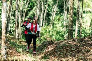 BIB: 
                            <button type="button" onclick="openModal(26452641)" class="btn btn-primary btn-sm float-right btn-popup" data-toggle="modal" data-target=".modal-high-quality">
                        <i class="fas fa-shopping-cart"></i> Add to Cart
                    </button>
                                            <button type="button" onclick="isThisMe(26452641, true)" class="btn btn-success btn-sm float-right btn-popup btn-isme hidden" data-toggle="tooltip" data-placement="bottom" title="นี่คือรูปของคุณใช่ไหม คลิกที่นี่เพื่อเอาเข้าอัลบั้ม">
                        <i class="fas fa-plus"></i> Add to album
                    </button>
                    <button type="button" onclick="isThisMe(26452641, false)" class="btn btn-warning btn-sm float-right btn-popup btn-isnotme hidden">
                        <i class="fas fa-ban"></i> Remove from album
                    </button>