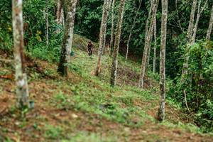 BIB: 
                            <button type="button" onclick="openModal(26445871)" class="btn btn-primary btn-sm float-right btn-popup" data-toggle="modal" data-target=".modal-high-quality">
                        <i class="fas fa-shopping-cart"></i> Add to Cart
                    </button>
                                            <button type="button" onclick="isThisMe(26445871, true)" class="btn btn-success btn-sm float-right btn-popup btn-isme hidden" data-toggle="tooltip" data-placement="bottom" title="นี่คือรูปของคุณใช่ไหม คลิกที่นี่เพื่อเอาเข้าอัลบั้ม">
                        <i class="fas fa-plus"></i> Add to album
                    </button>
                    <button type="button" onclick="isThisMe(26445871, false)" class="btn btn-warning btn-sm float-right btn-popup btn-isnotme hidden">
                        <i class="fas fa-ban"></i> Remove from album
                    </button>