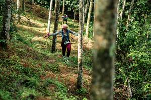 BIB: 
                            <button type="button" onclick="openModal(26448596)" class="btn btn-primary btn-sm float-right btn-popup" data-toggle="modal" data-target=".modal-high-quality">
                        <i class="fas fa-shopping-cart"></i> Add to Cart
                    </button>
                                            <button type="button" onclick="isThisMe(26448596, true)" class="btn btn-success btn-sm float-right btn-popup btn-isme hidden" data-toggle="tooltip" data-placement="bottom" title="นี่คือรูปของคุณใช่ไหม คลิกที่นี่เพื่อเอาเข้าอัลบั้ม">
                        <i class="fas fa-plus"></i> Add to album
                    </button>
                    <button type="button" onclick="isThisMe(26448596, false)" class="btn btn-warning btn-sm float-right btn-popup btn-isnotme hidden">
                        <i class="fas fa-ban"></i> Remove from album
                    </button>