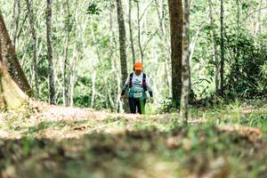 BIB: 
                            <button type="button" onclick="openModal(26454026)" class="btn btn-primary btn-sm float-right btn-popup" data-toggle="modal" data-target=".modal-high-quality">
                        <i class="fas fa-shopping-cart"></i> Add to Cart
                    </button>
                                            <button type="button" onclick="isThisMe(26454026, true)" class="btn btn-success btn-sm float-right btn-popup btn-isme hidden" data-toggle="tooltip" data-placement="bottom" title="นี่คือรูปของคุณใช่ไหม คลิกที่นี่เพื่อเอาเข้าอัลบั้ม">
                        <i class="fas fa-plus"></i> Add to album
                    </button>
                    <button type="button" onclick="isThisMe(26454026, false)" class="btn btn-warning btn-sm float-right btn-popup btn-isnotme hidden">
                        <i class="fas fa-ban"></i> Remove from album
                    </button>