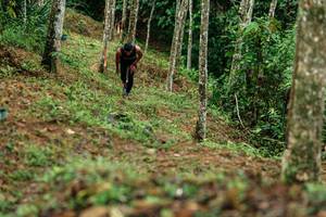 BIB: 
                            <button type="button" onclick="openModal(26445865)" class="btn btn-primary btn-sm float-right btn-popup" data-toggle="modal" data-target=".modal-high-quality">
                        <i class="fas fa-shopping-cart"></i> Add to Cart
                    </button>
                                            <button type="button" onclick="isThisMe(26445865, true)" class="btn btn-success btn-sm float-right btn-popup btn-isme hidden" data-toggle="tooltip" data-placement="bottom" title="นี่คือรูปของคุณใช่ไหม คลิกที่นี่เพื่อเอาเข้าอัลบั้ม">
                        <i class="fas fa-plus"></i> Add to album
                    </button>
                    <button type="button" onclick="isThisMe(26445865, false)" class="btn btn-warning btn-sm float-right btn-popup btn-isnotme hidden">
                        <i class="fas fa-ban"></i> Remove from album
                    </button>