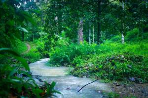 BIB: 
                            <button type="button" onclick="openModal(26213880)" class="btn btn-primary btn-sm float-right btn-popup" data-toggle="modal" data-target=".modal-high-quality">
                        <i class="fas fa-shopping-cart"></i> Add to Cart
                    </button>
                                            <button type="button" onclick="isThisMe(26213880, true)" class="btn btn-success btn-sm float-right btn-popup btn-isme hidden" data-toggle="tooltip" data-placement="bottom" title="นี่คือรูปของคุณใช่ไหม คลิกที่นี่เพื่อเอาเข้าอัลบั้ม">
                        <i class="fas fa-plus"></i> Add to album
                    </button>
                    <button type="button" onclick="isThisMe(26213880, false)" class="btn btn-warning btn-sm float-right btn-popup btn-isnotme hidden">
                        <i class="fas fa-ban"></i> Remove from album
                    </button>