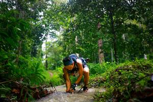 BIB: 
                            <button type="button" onclick="openModal(26213603)" class="btn btn-primary btn-sm float-right btn-popup" data-toggle="modal" data-target=".modal-high-quality">
                        <i class="fas fa-shopping-cart"></i> Add to Cart
                    </button>
                                            <button type="button" onclick="isThisMe(26213603, true)" class="btn btn-success btn-sm float-right btn-popup btn-isme hidden" data-toggle="tooltip" data-placement="bottom" title="นี่คือรูปของคุณใช่ไหม คลิกที่นี่เพื่อเอาเข้าอัลบั้ม">
                        <i class="fas fa-plus"></i> Add to album
                    </button>
                    <button type="button" onclick="isThisMe(26213603, false)" class="btn btn-warning btn-sm float-right btn-popup btn-isnotme hidden">
                        <i class="fas fa-ban"></i> Remove from album
                    </button>