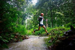 BIB: 
                            <button type="button" onclick="openModal(26213521)" class="btn btn-primary btn-sm float-right btn-popup" data-toggle="modal" data-target=".modal-high-quality">
                        <i class="fas fa-shopping-cart"></i> Add to Cart
                    </button>
                                            <button type="button" onclick="isThisMe(26213521, true)" class="btn btn-success btn-sm float-right btn-popup btn-isme hidden" data-toggle="tooltip" data-placement="bottom" title="นี่คือรูปของคุณใช่ไหม คลิกที่นี่เพื่อเอาเข้าอัลบั้ม">
                        <i class="fas fa-plus"></i> Add to album
                    </button>
                    <button type="button" onclick="isThisMe(26213521, false)" class="btn btn-warning btn-sm float-right btn-popup btn-isnotme hidden">
                        <i class="fas fa-ban"></i> Remove from album
                    </button>