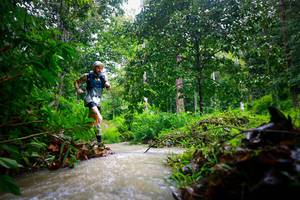 BIB: 
                            <button type="button" onclick="openModal(26213513)" class="btn btn-primary btn-sm float-right btn-popup" data-toggle="modal" data-target=".modal-high-quality">
                        <i class="fas fa-shopping-cart"></i> Add to Cart
                    </button>
                                            <button type="button" onclick="isThisMe(26213513, true)" class="btn btn-success btn-sm float-right btn-popup btn-isme hidden" data-toggle="tooltip" data-placement="bottom" title="นี่คือรูปของคุณใช่ไหม คลิกที่นี่เพื่อเอาเข้าอัลบั้ม">
                        <i class="fas fa-plus"></i> Add to album
                    </button>
                    <button type="button" onclick="isThisMe(26213513, false)" class="btn btn-warning btn-sm float-right btn-popup btn-isnotme hidden">
                        <i class="fas fa-ban"></i> Remove from album
                    </button>