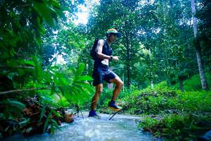 BIB: 
                            <button type="button" onclick="openModal(26214236)" class="btn btn-primary btn-sm float-right btn-popup" data-toggle="modal" data-target=".modal-high-quality">
                        <i class="fas fa-shopping-cart"></i> Add to Cart
                    </button>
                                            <button type="button" onclick="isThisMe(26214236, true)" class="btn btn-success btn-sm float-right btn-popup btn-isme hidden" data-toggle="tooltip" data-placement="bottom" title="นี่คือรูปของคุณใช่ไหม คลิกที่นี่เพื่อเอาเข้าอัลบั้ม">
                        <i class="fas fa-plus"></i> Add to album
                    </button>
                    <button type="button" onclick="isThisMe(26214236, false)" class="btn btn-warning btn-sm float-right btn-popup btn-isnotme hidden">
                        <i class="fas fa-ban"></i> Remove from album
                    </button>