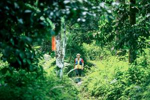 BIB: 
                            <button type="button" onclick="openModal(26493746)" class="btn btn-primary btn-sm float-right btn-popup" data-toggle="modal" data-target=".modal-high-quality">
                        <i class="fas fa-shopping-cart"></i> Add to Cart
                    </button>
                                            <button type="button" onclick="isThisMe(26493746, true)" class="btn btn-success btn-sm float-right btn-popup btn-isme hidden" data-toggle="tooltip" data-placement="bottom" title="นี่คือรูปของคุณใช่ไหม คลิกที่นี่เพื่อเอาเข้าอัลบั้ม">
                        <i class="fas fa-plus"></i> Add to album
                    </button>
                    <button type="button" onclick="isThisMe(26493746, false)" class="btn btn-warning btn-sm float-right btn-popup btn-isnotme hidden">
                        <i class="fas fa-ban"></i> Remove from album
                    </button>