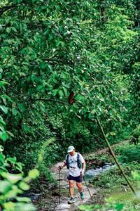 BIB: 
                            <button type="button" onclick="openModal(26493178)" class="btn btn-primary btn-sm float-right btn-popup" data-toggle="modal" data-target=".modal-high-quality">
                        <i class="fas fa-shopping-cart"></i> Add to Cart
                    </button>
                                            <button type="button" onclick="isThisMe(26493178, true)" class="btn btn-success btn-sm float-right btn-popup btn-isme hidden" data-toggle="tooltip" data-placement="bottom" title="นี่คือรูปของคุณใช่ไหม คลิกที่นี่เพื่อเอาเข้าอัลบั้ม">
                        <i class="fas fa-plus"></i> Add to album
                    </button>
                    <button type="button" onclick="isThisMe(26493178, false)" class="btn btn-warning btn-sm float-right btn-popup btn-isnotme hidden">
                        <i class="fas fa-ban"></i> Remove from album
                    </button>