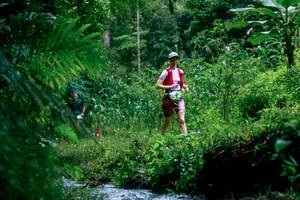 BIB: 
                            <button type="button" onclick="openModal(26475176)" class="btn btn-primary btn-sm float-right btn-popup" data-toggle="modal" data-target=".modal-high-quality">
                        <i class="fas fa-shopping-cart"></i> Add to Cart
                    </button>
                                            <button type="button" onclick="isThisMe(26475176, true)" class="btn btn-success btn-sm float-right btn-popup btn-isme hidden" data-toggle="tooltip" data-placement="bottom" title="นี่คือรูปของคุณใช่ไหม คลิกที่นี่เพื่อเอาเข้าอัลบั้ม">
                        <i class="fas fa-plus"></i> Add to album
                    </button>
                    <button type="button" onclick="isThisMe(26475176, false)" class="btn btn-warning btn-sm float-right btn-popup btn-isnotme hidden">
                        <i class="fas fa-ban"></i> Remove from album
                    </button>