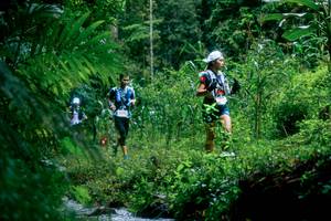 BIB: 
                            <button type="button" onclick="openModal(26475142)" class="btn btn-primary btn-sm float-right btn-popup" data-toggle="modal" data-target=".modal-high-quality">
                        <i class="fas fa-shopping-cart"></i> Add to Cart
                    </button>
                                            <button type="button" onclick="isThisMe(26475142, true)" class="btn btn-success btn-sm float-right btn-popup btn-isme hidden" data-toggle="tooltip" data-placement="bottom" title="นี่คือรูปของคุณใช่ไหม คลิกที่นี่เพื่อเอาเข้าอัลบั้ม">
                        <i class="fas fa-plus"></i> Add to album
                    </button>
                    <button type="button" onclick="isThisMe(26475142, false)" class="btn btn-warning btn-sm float-right btn-popup btn-isnotme hidden">
                        <i class="fas fa-ban"></i> Remove from album
                    </button>