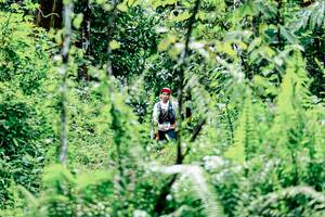 BIB: 
                            <button type="button" onclick="openModal(26493585)" class="btn btn-primary btn-sm float-right btn-popup" data-toggle="modal" data-target=".modal-high-quality">
                        <i class="fas fa-shopping-cart"></i> Add to Cart
                    </button>
                                            <button type="button" onclick="isThisMe(26493585, true)" class="btn btn-success btn-sm float-right btn-popup btn-isme hidden" data-toggle="tooltip" data-placement="bottom" title="นี่คือรูปของคุณใช่ไหม คลิกที่นี่เพื่อเอาเข้าอัลบั้ม">
                        <i class="fas fa-plus"></i> Add to album
                    </button>
                    <button type="button" onclick="isThisMe(26493585, false)" class="btn btn-warning btn-sm float-right btn-popup btn-isnotme hidden">
                        <i class="fas fa-ban"></i> Remove from album
                    </button>