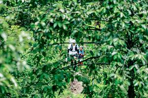 BIB: 
                            <button type="button" onclick="openModal(26493510)" class="btn btn-primary btn-sm float-right btn-popup" data-toggle="modal" data-target=".modal-high-quality">
                        <i class="fas fa-shopping-cart"></i> Add to Cart
                    </button>
                                            <button type="button" onclick="isThisMe(26493510, true)" class="btn btn-success btn-sm float-right btn-popup btn-isme hidden" data-toggle="tooltip" data-placement="bottom" title="นี่คือรูปของคุณใช่ไหม คลิกที่นี่เพื่อเอาเข้าอัลบั้ม">
                        <i class="fas fa-plus"></i> Add to album
                    </button>
                    <button type="button" onclick="isThisMe(26493510, false)" class="btn btn-warning btn-sm float-right btn-popup btn-isnotme hidden">
                        <i class="fas fa-ban"></i> Remove from album
                    </button>