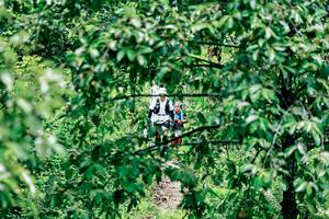 BIB: 
                            <button type="button" onclick="openModal(26493513)" class="btn btn-primary btn-sm float-right btn-popup" data-toggle="modal" data-target=".modal-high-quality">
                        <i class="fas fa-shopping-cart"></i> Add to Cart
                    </button>
                                            <button type="button" onclick="isThisMe(26493513, true)" class="btn btn-success btn-sm float-right btn-popup btn-isme hidden" data-toggle="tooltip" data-placement="bottom" title="นี่คือรูปของคุณใช่ไหม คลิกที่นี่เพื่อเอาเข้าอัลบั้ม">
                        <i class="fas fa-plus"></i> Add to album
                    </button>
                    <button type="button" onclick="isThisMe(26493513, false)" class="btn btn-warning btn-sm float-right btn-popup btn-isnotme hidden">
                        <i class="fas fa-ban"></i> Remove from album
                    </button>