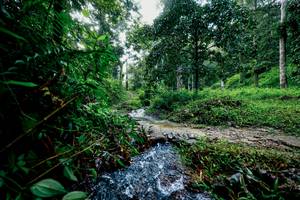 BIB: 
                            <button type="button" onclick="openModal(26470058)" class="btn btn-primary btn-sm float-right btn-popup" data-toggle="modal" data-target=".modal-high-quality">
                        <i class="fas fa-shopping-cart"></i> Add to Cart
                    </button>
                                            <button type="button" onclick="isThisMe(26470058, true)" class="btn btn-success btn-sm float-right btn-popup btn-isme hidden" data-toggle="tooltip" data-placement="bottom" title="นี่คือรูปของคุณใช่ไหม คลิกที่นี่เพื่อเอาเข้าอัลบั้ม">
                        <i class="fas fa-plus"></i> Add to album
                    </button>
                    <button type="button" onclick="isThisMe(26470058, false)" class="btn btn-warning btn-sm float-right btn-popup btn-isnotme hidden">
                        <i class="fas fa-ban"></i> Remove from album
                    </button>