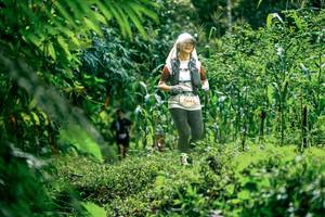 BIB: 
                            <button type="button" onclick="openModal(26479540)" class="btn btn-primary btn-sm float-right btn-popup" data-toggle="modal" data-target=".modal-high-quality">
                        <i class="fas fa-shopping-cart"></i> Add to Cart
                    </button>
                                            <button type="button" onclick="isThisMe(26479540, true)" class="btn btn-success btn-sm float-right btn-popup btn-isme hidden" data-toggle="tooltip" data-placement="bottom" title="นี่คือรูปของคุณใช่ไหม คลิกที่นี่เพื่อเอาเข้าอัลบั้ม">
                        <i class="fas fa-plus"></i> Add to album
                    </button>
                    <button type="button" onclick="isThisMe(26479540, false)" class="btn btn-warning btn-sm float-right btn-popup btn-isnotme hidden">
                        <i class="fas fa-ban"></i> Remove from album
                    </button>