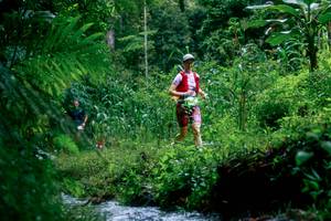 BIB: 
                            <button type="button" onclick="openModal(26475177)" class="btn btn-primary btn-sm float-right btn-popup" data-toggle="modal" data-target=".modal-high-quality">
                        <i class="fas fa-shopping-cart"></i> Add to Cart
                    </button>
                                            <button type="button" onclick="isThisMe(26475177, true)" class="btn btn-success btn-sm float-right btn-popup btn-isme hidden" data-toggle="tooltip" data-placement="bottom" title="นี่คือรูปของคุณใช่ไหม คลิกที่นี่เพื่อเอาเข้าอัลบั้ม">
                        <i class="fas fa-plus"></i> Add to album
                    </button>
                    <button type="button" onclick="isThisMe(26475177, false)" class="btn btn-warning btn-sm float-right btn-popup btn-isnotme hidden">
                        <i class="fas fa-ban"></i> Remove from album
                    </button>