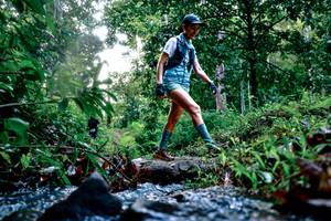 BIB: 
                            <button type="button" onclick="openModal(26469946)" class="btn btn-primary btn-sm float-right btn-popup" data-toggle="modal" data-target=".modal-high-quality">
                        <i class="fas fa-shopping-cart"></i> Add to Cart
                    </button>
                                            <button type="button" onclick="isThisMe(26469946, true)" class="btn btn-success btn-sm float-right btn-popup btn-isme hidden" data-toggle="tooltip" data-placement="bottom" title="นี่คือรูปของคุณใช่ไหม คลิกที่นี่เพื่อเอาเข้าอัลบั้ม">
                        <i class="fas fa-plus"></i> Add to album
                    </button>
                    <button type="button" onclick="isThisMe(26469946, false)" class="btn btn-warning btn-sm float-right btn-popup btn-isnotme hidden">
                        <i class="fas fa-ban"></i> Remove from album
                    </button>