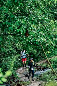 BIB: 
                            <button type="button" onclick="openModal(26493184)" class="btn btn-primary btn-sm float-right btn-popup" data-toggle="modal" data-target=".modal-high-quality">
                        <i class="fas fa-shopping-cart"></i> Add to Cart
                    </button>
                                            <button type="button" onclick="isThisMe(26493184, true)" class="btn btn-success btn-sm float-right btn-popup btn-isme hidden" data-toggle="tooltip" data-placement="bottom" title="นี่คือรูปของคุณใช่ไหม คลิกที่นี่เพื่อเอาเข้าอัลบั้ม">
                        <i class="fas fa-plus"></i> Add to album
                    </button>
                    <button type="button" onclick="isThisMe(26493184, false)" class="btn btn-warning btn-sm float-right btn-popup btn-isnotme hidden">
                        <i class="fas fa-ban"></i> Remove from album
                    </button>