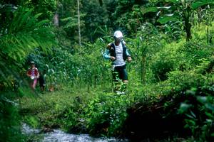 BIB: 
                            <button type="button" onclick="openModal(26475170)" class="btn btn-primary btn-sm float-right btn-popup" data-toggle="modal" data-target=".modal-high-quality">
                        <i class="fas fa-shopping-cart"></i> Add to Cart
                    </button>
                                            <button type="button" onclick="isThisMe(26475170, true)" class="btn btn-success btn-sm float-right btn-popup btn-isme hidden" data-toggle="tooltip" data-placement="bottom" title="นี่คือรูปของคุณใช่ไหม คลิกที่นี่เพื่อเอาเข้าอัลบั้ม">
                        <i class="fas fa-plus"></i> Add to album
                    </button>
                    <button type="button" onclick="isThisMe(26475170, false)" class="btn btn-warning btn-sm float-right btn-popup btn-isnotme hidden">
                        <i class="fas fa-ban"></i> Remove from album
                    </button>