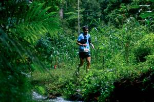 BIB: 
                            <button type="button" onclick="openModal(26475215)" class="btn btn-primary btn-sm float-right btn-popup" data-toggle="modal" data-target=".modal-high-quality">
                        <i class="fas fa-shopping-cart"></i> Add to Cart
                    </button>
                                            <button type="button" onclick="isThisMe(26475215, true)" class="btn btn-success btn-sm float-right btn-popup btn-isme hidden" data-toggle="tooltip" data-placement="bottom" title="นี่คือรูปของคุณใช่ไหม คลิกที่นี่เพื่อเอาเข้าอัลบั้ม">
                        <i class="fas fa-plus"></i> Add to album
                    </button>
                    <button type="button" onclick="isThisMe(26475215, false)" class="btn btn-warning btn-sm float-right btn-popup btn-isnotme hidden">
                        <i class="fas fa-ban"></i> Remove from album
                    </button>