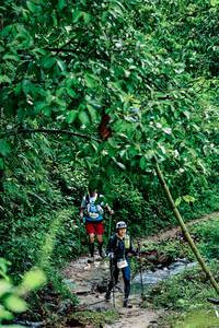 BIB: 
                            <button type="button" onclick="openModal(26493182)" class="btn btn-primary btn-sm float-right btn-popup" data-toggle="modal" data-target=".modal-high-quality">
                        <i class="fas fa-shopping-cart"></i> Add to Cart
                    </button>
                                            <button type="button" onclick="isThisMe(26493182, true)" class="btn btn-success btn-sm float-right btn-popup btn-isme hidden" data-toggle="tooltip" data-placement="bottom" title="นี่คือรูปของคุณใช่ไหม คลิกที่นี่เพื่อเอาเข้าอัลบั้ม">
                        <i class="fas fa-plus"></i> Add to album
                    </button>
                    <button type="button" onclick="isThisMe(26493182, false)" class="btn btn-warning btn-sm float-right btn-popup btn-isnotme hidden">
                        <i class="fas fa-ban"></i> Remove from album
                    </button>