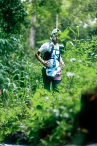 BIB: 
                            <button type="button" onclick="openModal(26475555)" class="btn btn-primary btn-sm float-right btn-popup" data-toggle="modal" data-target=".modal-high-quality">
                        <i class="fas fa-shopping-cart"></i> Add to Cart
                    </button>
                                            <button type="button" onclick="isThisMe(26475555, true)" class="btn btn-success btn-sm float-right btn-popup btn-isme hidden" data-toggle="tooltip" data-placement="bottom" title="นี่คือรูปของคุณใช่ไหม คลิกที่นี่เพื่อเอาเข้าอัลบั้ม">
                        <i class="fas fa-plus"></i> Add to album
                    </button>
                    <button type="button" onclick="isThisMe(26475555, false)" class="btn btn-warning btn-sm float-right btn-popup btn-isnotme hidden">
                        <i class="fas fa-ban"></i> Remove from album
                    </button>