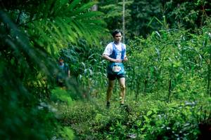 BIB: 
                            <button type="button" onclick="openModal(26475205)" class="btn btn-primary btn-sm float-right btn-popup" data-toggle="modal" data-target=".modal-high-quality">
                        <i class="fas fa-shopping-cart"></i> Add to Cart
                    </button>
                                            <button type="button" onclick="isThisMe(26475205, true)" class="btn btn-success btn-sm float-right btn-popup btn-isme hidden" data-toggle="tooltip" data-placement="bottom" title="นี่คือรูปของคุณใช่ไหม คลิกที่นี่เพื่อเอาเข้าอัลบั้ม">
                        <i class="fas fa-plus"></i> Add to album
                    </button>
                    <button type="button" onclick="isThisMe(26475205, false)" class="btn btn-warning btn-sm float-right btn-popup btn-isnotme hidden">
                        <i class="fas fa-ban"></i> Remove from album
                    </button>