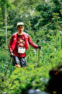 BIB: 
                            <button type="button" onclick="openModal(26488270)" class="btn btn-primary btn-sm float-right btn-popup" data-toggle="modal" data-target=".modal-high-quality">
                        <i class="fas fa-shopping-cart"></i> Add to Cart
                    </button>
                                            <button type="button" onclick="isThisMe(26488270, true)" class="btn btn-success btn-sm float-right btn-popup btn-isme hidden" data-toggle="tooltip" data-placement="bottom" title="นี่คือรูปของคุณใช่ไหม คลิกที่นี่เพื่อเอาเข้าอัลบั้ม">
                        <i class="fas fa-plus"></i> Add to album
                    </button>
                    <button type="button" onclick="isThisMe(26488270, false)" class="btn btn-warning btn-sm float-right btn-popup btn-isnotme hidden">
                        <i class="fas fa-ban"></i> Remove from album
                    </button>