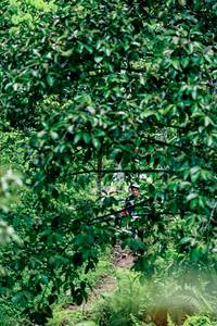 BIB: 
                            <button type="button" onclick="openModal(26493122)" class="btn btn-primary btn-sm float-right btn-popup" data-toggle="modal" data-target=".modal-high-quality">
                        <i class="fas fa-shopping-cart"></i> Add to Cart
                    </button>
                                            <button type="button" onclick="isThisMe(26493122, true)" class="btn btn-success btn-sm float-right btn-popup btn-isme hidden" data-toggle="tooltip" data-placement="bottom" title="นี่คือรูปของคุณใช่ไหม คลิกที่นี่เพื่อเอาเข้าอัลบั้ม">
                        <i class="fas fa-plus"></i> Add to album
                    </button>
                    <button type="button" onclick="isThisMe(26493122, false)" class="btn btn-warning btn-sm float-right btn-popup btn-isnotme hidden">
                        <i class="fas fa-ban"></i> Remove from album
                    </button>