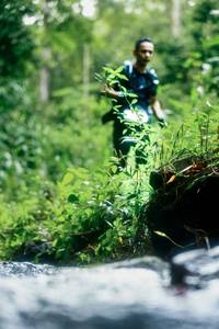 BIB: 
                            <button type="button" onclick="openModal(26475490)" class="btn btn-primary btn-sm float-right btn-popup" data-toggle="modal" data-target=".modal-high-quality">
                        <i class="fas fa-shopping-cart"></i> Add to Cart
                    </button>
                                            <button type="button" onclick="isThisMe(26475490, true)" class="btn btn-success btn-sm float-right btn-popup btn-isme hidden" data-toggle="tooltip" data-placement="bottom" title="นี่คือรูปของคุณใช่ไหม คลิกที่นี่เพื่อเอาเข้าอัลบั้ม">
                        <i class="fas fa-plus"></i> Add to album
                    </button>
                    <button type="button" onclick="isThisMe(26475490, false)" class="btn btn-warning btn-sm float-right btn-popup btn-isnotme hidden">
                        <i class="fas fa-ban"></i> Remove from album
                    </button>