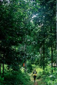 BIB: 
                            <button type="button" onclick="openModal(26493754)" class="btn btn-primary btn-sm float-right btn-popup" data-toggle="modal" data-target=".modal-high-quality">
                        <i class="fas fa-shopping-cart"></i> Add to Cart
                    </button>
                                            <button type="button" onclick="isThisMe(26493754, true)" class="btn btn-success btn-sm float-right btn-popup btn-isme hidden" data-toggle="tooltip" data-placement="bottom" title="นี่คือรูปของคุณใช่ไหม คลิกที่นี่เพื่อเอาเข้าอัลบั้ม">
                        <i class="fas fa-plus"></i> Add to album
                    </button>
                    <button type="button" onclick="isThisMe(26493754, false)" class="btn btn-warning btn-sm float-right btn-popup btn-isnotme hidden">
                        <i class="fas fa-ban"></i> Remove from album
                    </button>