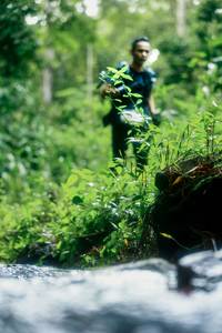 BIB: 
                            <button type="button" onclick="openModal(26475483)" class="btn btn-primary btn-sm float-right btn-popup" data-toggle="modal" data-target=".modal-high-quality">
                        <i class="fas fa-shopping-cart"></i> Add to Cart
                    </button>
                                            <button type="button" onclick="isThisMe(26475483, true)" class="btn btn-success btn-sm float-right btn-popup btn-isme hidden" data-toggle="tooltip" data-placement="bottom" title="นี่คือรูปของคุณใช่ไหม คลิกที่นี่เพื่อเอาเข้าอัลบั้ม">
                        <i class="fas fa-plus"></i> Add to album
                    </button>
                    <button type="button" onclick="isThisMe(26475483, false)" class="btn btn-warning btn-sm float-right btn-popup btn-isnotme hidden">
                        <i class="fas fa-ban"></i> Remove from album
                    </button>