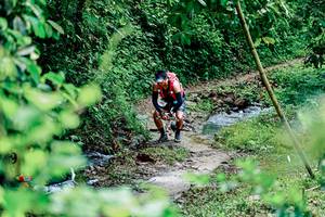 BIB: 
                            <button type="button" onclick="openModal(26493344)" class="btn btn-primary btn-sm float-right btn-popup" data-toggle="modal" data-target=".modal-high-quality">
                        <i class="fas fa-shopping-cart"></i> Add to Cart
                    </button>
                                            <button type="button" onclick="isThisMe(26493344, true)" class="btn btn-success btn-sm float-right btn-popup btn-isme hidden" data-toggle="tooltip" data-placement="bottom" title="นี่คือรูปของคุณใช่ไหม คลิกที่นี่เพื่อเอาเข้าอัลบั้ม">
                        <i class="fas fa-plus"></i> Add to album
                    </button>
                    <button type="button" onclick="isThisMe(26493344, false)" class="btn btn-warning btn-sm float-right btn-popup btn-isnotme hidden">
                        <i class="fas fa-ban"></i> Remove from album
                    </button>