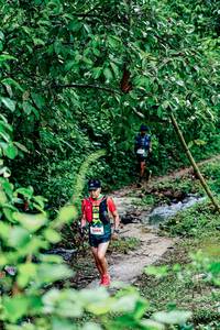 BIB: 
                            <button type="button" onclick="openModal(26493150)" class="btn btn-primary btn-sm float-right btn-popup" data-toggle="modal" data-target=".modal-high-quality">
                        <i class="fas fa-shopping-cart"></i> Add to Cart
                    </button>
                                            <button type="button" onclick="isThisMe(26493150, true)" class="btn btn-success btn-sm float-right btn-popup btn-isme hidden" data-toggle="tooltip" data-placement="bottom" title="นี่คือรูปของคุณใช่ไหม คลิกที่นี่เพื่อเอาเข้าอัลบั้ม">
                        <i class="fas fa-plus"></i> Add to album
                    </button>
                    <button type="button" onclick="isThisMe(26493150, false)" class="btn btn-warning btn-sm float-right btn-popup btn-isnotme hidden">
                        <i class="fas fa-ban"></i> Remove from album
                    </button>