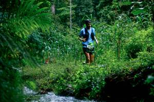 BIB: 
                            <button type="button" onclick="openModal(26475230)" class="btn btn-primary btn-sm float-right btn-popup" data-toggle="modal" data-target=".modal-high-quality">
                        <i class="fas fa-shopping-cart"></i> Add to Cart
                    </button>
                                            <button type="button" onclick="isThisMe(26475230, true)" class="btn btn-success btn-sm float-right btn-popup btn-isme hidden" data-toggle="tooltip" data-placement="bottom" title="นี่คือรูปของคุณใช่ไหม คลิกที่นี่เพื่อเอาเข้าอัลบั้ม">
                        <i class="fas fa-plus"></i> Add to album
                    </button>
                    <button type="button" onclick="isThisMe(26475230, false)" class="btn btn-warning btn-sm float-right btn-popup btn-isnotme hidden">
                        <i class="fas fa-ban"></i> Remove from album
                    </button>