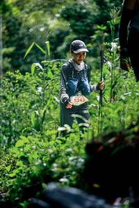 BIB: 
                            <button type="button" onclick="openModal(26484016)" class="btn btn-primary btn-sm float-right btn-popup" data-toggle="modal" data-target=".modal-high-quality">
                        <i class="fas fa-shopping-cart"></i> Add to Cart
                    </button>
                                            <button type="button" onclick="isThisMe(26484016, true)" class="btn btn-success btn-sm float-right btn-popup btn-isme hidden" data-toggle="tooltip" data-placement="bottom" title="นี่คือรูปของคุณใช่ไหม คลิกที่นี่เพื่อเอาเข้าอัลบั้ม">
                        <i class="fas fa-plus"></i> Add to album
                    </button>
                    <button type="button" onclick="isThisMe(26484016, false)" class="btn btn-warning btn-sm float-right btn-popup btn-isnotme hidden">
                        <i class="fas fa-ban"></i> Remove from album
                    </button>