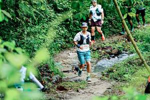 BIB: 
                            <button type="button" onclick="openModal(26493069)" class="btn btn-primary btn-sm float-right btn-popup" data-toggle="modal" data-target=".modal-high-quality">
                        <i class="fas fa-shopping-cart"></i> Add to Cart
                    </button>
                                            <button type="button" onclick="isThisMe(26493069, true)" class="btn btn-success btn-sm float-right btn-popup btn-isme hidden" data-toggle="tooltip" data-placement="bottom" title="นี่คือรูปของคุณใช่ไหม คลิกที่นี่เพื่อเอาเข้าอัลบั้ม">
                        <i class="fas fa-plus"></i> Add to album
                    </button>
                    <button type="button" onclick="isThisMe(26493069, false)" class="btn btn-warning btn-sm float-right btn-popup btn-isnotme hidden">
                        <i class="fas fa-ban"></i> Remove from album
                    </button>