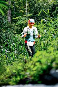 BIB: 
                            <button type="button" onclick="openModal(26486505)" class="btn btn-primary btn-sm float-right btn-popup" data-toggle="modal" data-target=".modal-high-quality">
                        <i class="fas fa-shopping-cart"></i> Add to Cart
                    </button>
                                            <button type="button" onclick="isThisMe(26486505, true)" class="btn btn-success btn-sm float-right btn-popup btn-isme hidden" data-toggle="tooltip" data-placement="bottom" title="นี่คือรูปของคุณใช่ไหม คลิกที่นี่เพื่อเอาเข้าอัลบั้ม">
                        <i class="fas fa-plus"></i> Add to album
                    </button>
                    <button type="button" onclick="isThisMe(26486505, false)" class="btn btn-warning btn-sm float-right btn-popup btn-isnotme hidden">
                        <i class="fas fa-ban"></i> Remove from album
                    </button>