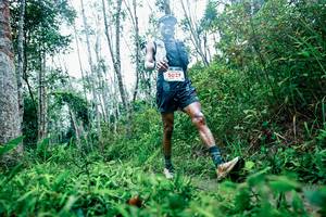 BIB: 
                            <button type="button" onclick="openModal(26468757)" class="btn btn-primary btn-sm float-right btn-popup" data-toggle="modal" data-target=".modal-high-quality">
                        <i class="fas fa-shopping-cart"></i> Add to Cart
                    </button>
                                            <button type="button" onclick="isThisMe(26468757, true)" class="btn btn-success btn-sm float-right btn-popup btn-isme hidden" data-toggle="tooltip" data-placement="bottom" title="นี่คือรูปของคุณใช่ไหม คลิกที่นี่เพื่อเอาเข้าอัลบั้ม">
                        <i class="fas fa-plus"></i> Add to album
                    </button>
                    <button type="button" onclick="isThisMe(26468757, false)" class="btn btn-warning btn-sm float-right btn-popup btn-isnotme hidden">
                        <i class="fas fa-ban"></i> Remove from album
                    </button>