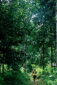 BIB: 
                            <button type="button" onclick="openModal(26493750)" class="btn btn-primary btn-sm float-right btn-popup" data-toggle="modal" data-target=".modal-high-quality">
                        <i class="fas fa-shopping-cart"></i> Add to Cart
                    </button>
                                            <button type="button" onclick="isThisMe(26493750, true)" class="btn btn-success btn-sm float-right btn-popup btn-isme hidden" data-toggle="tooltip" data-placement="bottom" title="นี่คือรูปของคุณใช่ไหม คลิกที่นี่เพื่อเอาเข้าอัลบั้ม">
                        <i class="fas fa-plus"></i> Add to album
                    </button>
                    <button type="button" onclick="isThisMe(26493750, false)" class="btn btn-warning btn-sm float-right btn-popup btn-isnotme hidden">
                        <i class="fas fa-ban"></i> Remove from album
                    </button>