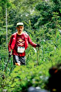 BIB: 
                            <button type="button" onclick="openModal(26488269)" class="btn btn-primary btn-sm float-right btn-popup" data-toggle="modal" data-target=".modal-high-quality">
                        <i class="fas fa-shopping-cart"></i> Add to Cart
                    </button>
                                            <button type="button" onclick="isThisMe(26488269, true)" class="btn btn-success btn-sm float-right btn-popup btn-isme hidden" data-toggle="tooltip" data-placement="bottom" title="นี่คือรูปของคุณใช่ไหม คลิกที่นี่เพื่อเอาเข้าอัลบั้ม">
                        <i class="fas fa-plus"></i> Add to album
                    </button>
                    <button type="button" onclick="isThisMe(26488269, false)" class="btn btn-warning btn-sm float-right btn-popup btn-isnotme hidden">
                        <i class="fas fa-ban"></i> Remove from album
                    </button>