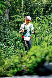 BIB: 
                            <button type="button" onclick="openModal(26486506)" class="btn btn-primary btn-sm float-right btn-popup" data-toggle="modal" data-target=".modal-high-quality">
                        <i class="fas fa-shopping-cart"></i> Add to Cart
                    </button>
                                            <button type="button" onclick="isThisMe(26486506, true)" class="btn btn-success btn-sm float-right btn-popup btn-isme hidden" data-toggle="tooltip" data-placement="bottom" title="นี่คือรูปของคุณใช่ไหม คลิกที่นี่เพื่อเอาเข้าอัลบั้ม">
                        <i class="fas fa-plus"></i> Add to album
                    </button>
                    <button type="button" onclick="isThisMe(26486506, false)" class="btn btn-warning btn-sm float-right btn-popup btn-isnotme hidden">
                        <i class="fas fa-ban"></i> Remove from album
                    </button>