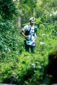 BIB: 
                            <button type="button" onclick="openModal(26475552)" class="btn btn-primary btn-sm float-right btn-popup" data-toggle="modal" data-target=".modal-high-quality">
                        <i class="fas fa-shopping-cart"></i> Add to Cart
                    </button>
                                            <button type="button" onclick="isThisMe(26475552, true)" class="btn btn-success btn-sm float-right btn-popup btn-isme hidden" data-toggle="tooltip" data-placement="bottom" title="นี่คือรูปของคุณใช่ไหม คลิกที่นี่เพื่อเอาเข้าอัลบั้ม">
                        <i class="fas fa-plus"></i> Add to album
                    </button>
                    <button type="button" onclick="isThisMe(26475552, false)" class="btn btn-warning btn-sm float-right btn-popup btn-isnotme hidden">
                        <i class="fas fa-ban"></i> Remove from album
                    </button>