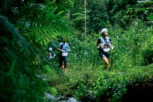 BIB: 
                            <button type="button" onclick="openModal(26475129)" class="btn btn-primary btn-sm float-right btn-popup" data-toggle="modal" data-target=".modal-high-quality">
                        <i class="fas fa-shopping-cart"></i> Add to Cart
                    </button>
                                            <button type="button" onclick="isThisMe(26475129, true)" class="btn btn-success btn-sm float-right btn-popup btn-isme hidden" data-toggle="tooltip" data-placement="bottom" title="นี่คือรูปของคุณใช่ไหม คลิกที่นี่เพื่อเอาเข้าอัลบั้ม">
                        <i class="fas fa-plus"></i> Add to album
                    </button>
                    <button type="button" onclick="isThisMe(26475129, false)" class="btn btn-warning btn-sm float-right btn-popup btn-isnotme hidden">
                        <i class="fas fa-ban"></i> Remove from album
                    </button>