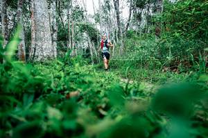 BIB: 
                            <button type="button" onclick="openModal(26468727)" class="btn btn-primary btn-sm float-right btn-popup" data-toggle="modal" data-target=".modal-high-quality">
                        <i class="fas fa-shopping-cart"></i> Add to Cart
                    </button>
                                            <button type="button" onclick="isThisMe(26468727, true)" class="btn btn-success btn-sm float-right btn-popup btn-isme hidden" data-toggle="tooltip" data-placement="bottom" title="นี่คือรูปของคุณใช่ไหม คลิกที่นี่เพื่อเอาเข้าอัลบั้ม">
                        <i class="fas fa-plus"></i> Add to album
                    </button>
                    <button type="button" onclick="isThisMe(26468727, false)" class="btn btn-warning btn-sm float-right btn-popup btn-isnotme hidden">
                        <i class="fas fa-ban"></i> Remove from album
                    </button>