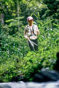 BIB: 
                            <button type="button" onclick="openModal(26479679)" class="btn btn-primary btn-sm float-right btn-popup" data-toggle="modal" data-target=".modal-high-quality">
                        <i class="fas fa-shopping-cart"></i> Add to Cart
                    </button>
                                            <button type="button" onclick="isThisMe(26479679, true)" class="btn btn-success btn-sm float-right btn-popup btn-isme hidden" data-toggle="tooltip" data-placement="bottom" title="นี่คือรูปของคุณใช่ไหม คลิกที่นี่เพื่อเอาเข้าอัลบั้ม">
                        <i class="fas fa-plus"></i> Add to album
                    </button>
                    <button type="button" onclick="isThisMe(26479679, false)" class="btn btn-warning btn-sm float-right btn-popup btn-isnotme hidden">
                        <i class="fas fa-ban"></i> Remove from album
                    </button>