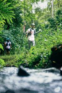 BIB: 
                            <button type="button" onclick="openModal(26478516)" class="btn btn-primary btn-sm float-right btn-popup" data-toggle="modal" data-target=".modal-high-quality">
                        <i class="fas fa-shopping-cart"></i> Add to Cart
                    </button>
                                            <button type="button" onclick="isThisMe(26478516, true)" class="btn btn-success btn-sm float-right btn-popup btn-isme hidden" data-toggle="tooltip" data-placement="bottom" title="นี่คือรูปของคุณใช่ไหม คลิกที่นี่เพื่อเอาเข้าอัลบั้ม">
                        <i class="fas fa-plus"></i> Add to album
                    </button>
                    <button type="button" onclick="isThisMe(26478516, false)" class="btn btn-warning btn-sm float-right btn-popup btn-isnotme hidden">
                        <i class="fas fa-ban"></i> Remove from album
                    </button>